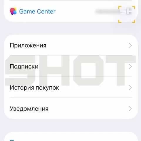 Проблемы с оплатой подписок на iPhone в России после обновления iOS 26.0.1