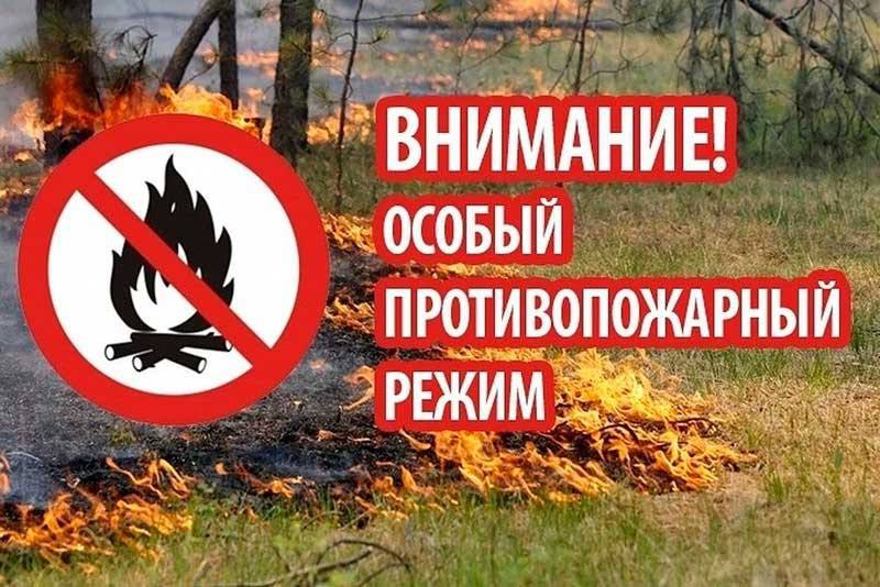 С 9 июля в Республике действуют «Правила пожарной безопасности при введении особого противопожарного режима». В условиях особого противопожарного режима в Приднестровской Молдавской Республике ПМР введены строгие правила и ограничения, направленные на предотвращение пожаров. Основные моменты включают запрет на посещение лесов, разведение костров, сжигание мусора и сухой травы, проведение пожароопасных работ. Нарушение требований пожарной безопасности в условиях особого противопожарного режима влечет за собой административную ответственность, а именно: Штраф для граждан – до 2760 рублей для должностных лиц – до 5520 рублей для индивидуальных предпринимателей – до 9200 рублей либо приостановление деятельности на срок до 90 суток для юридических лиц – до 22 080 рублей ПМР либо приостановление деятельности на срок до 90 суток . Соблюдение мер безопасности является важным условием для предотвращения пожаров и защиты жизни, здоровья и имущества граждан, а также для сохранения окружающей среды. Подробнее на сайте.