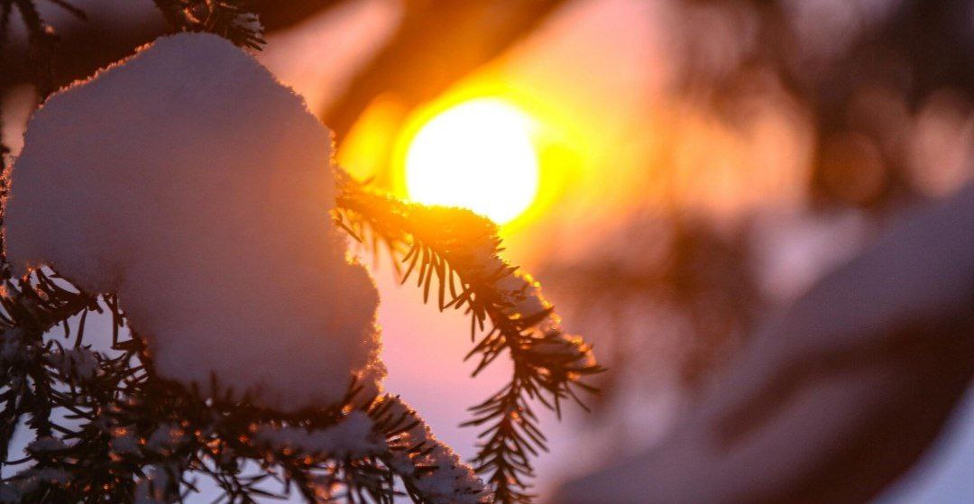 С 26 декабря световой день начнёт увеличиваться После зимнего солнцестояния которое в этом году пришлось на 21 декабря продолжительность светового дня почти не менялась Однако уже с 26 декабря он начнёт постепенно увеличиваться К новогодним праздникам светлое время суток станет длиннее примерно на 5 6