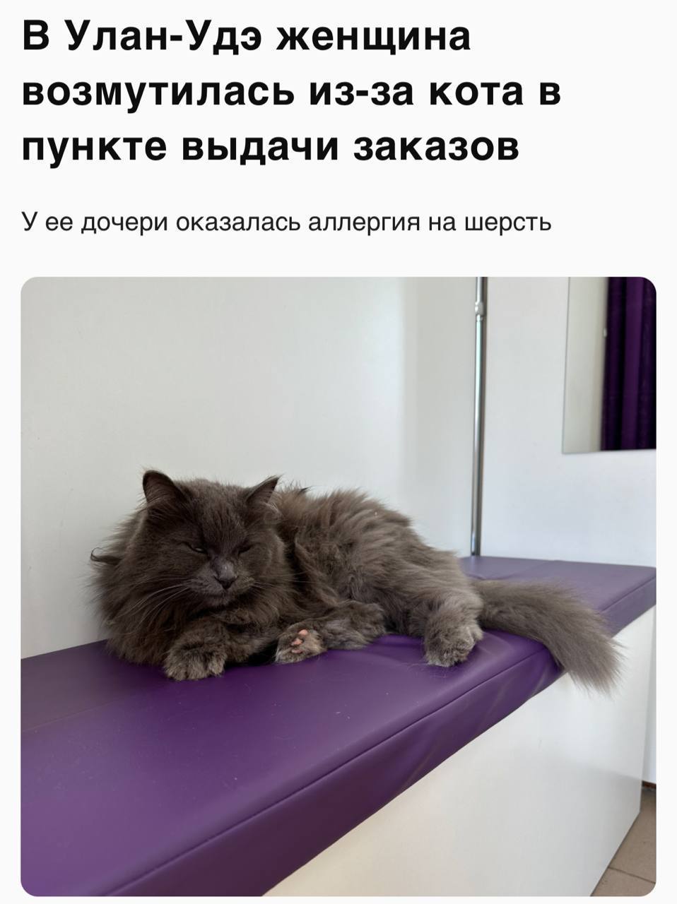 Клиентку ПВЗ разозлит КОТ в примерочной женщина увидела пушистого когда пришла за своим заказом с дочерью Хвостатый просто спал Клиентка закатила скандал и начала ругаться с сотрудниками со слов женщины у её дочери ужасная аллергия на кошачью шерсть Скандалистка требовала убрать животное но сотрудники отказались Тогда она оформила возврат товара и пригрозила что начнет ходить в другой ПВЗ Котика за что