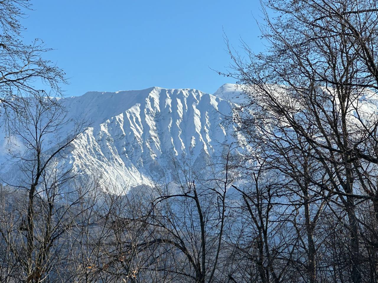 Курорт Роза Хутор отложил открытие зимнего сезона до 29 декабря Это решение связано с аномально теплой погодой и недостаточным количеством снега Первоначально сезон планировали открыть 19 декабря Представители Красной Поляны сообщили что точной даты пока нет Кубанские Новости Мы в MAX