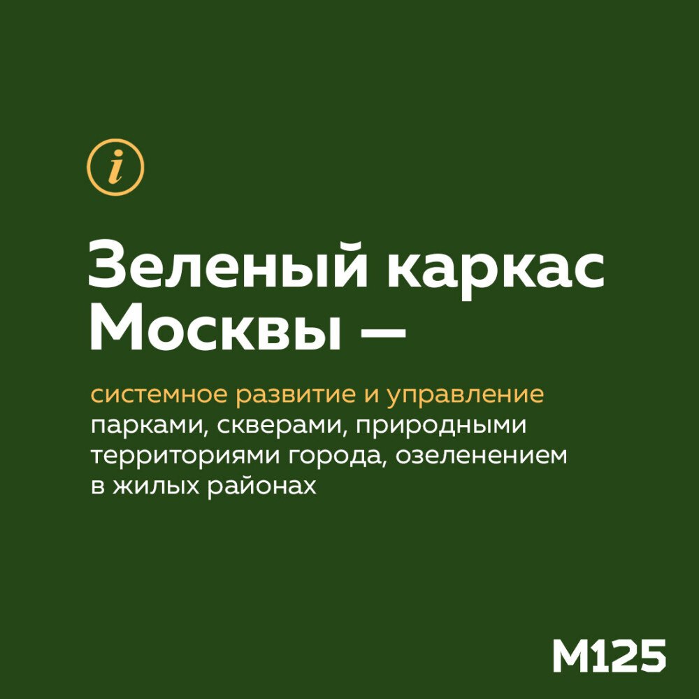 После обновления законов о защите зелени в Москве, появилось и новое понятие зеленого каркаса. Его задача — объединять парки, скверы дворы и другие зоны с растениями в единый каркас, например, в экотропы или природные территории.  Уже скоро.  —   -канал:    #мг  #Тг