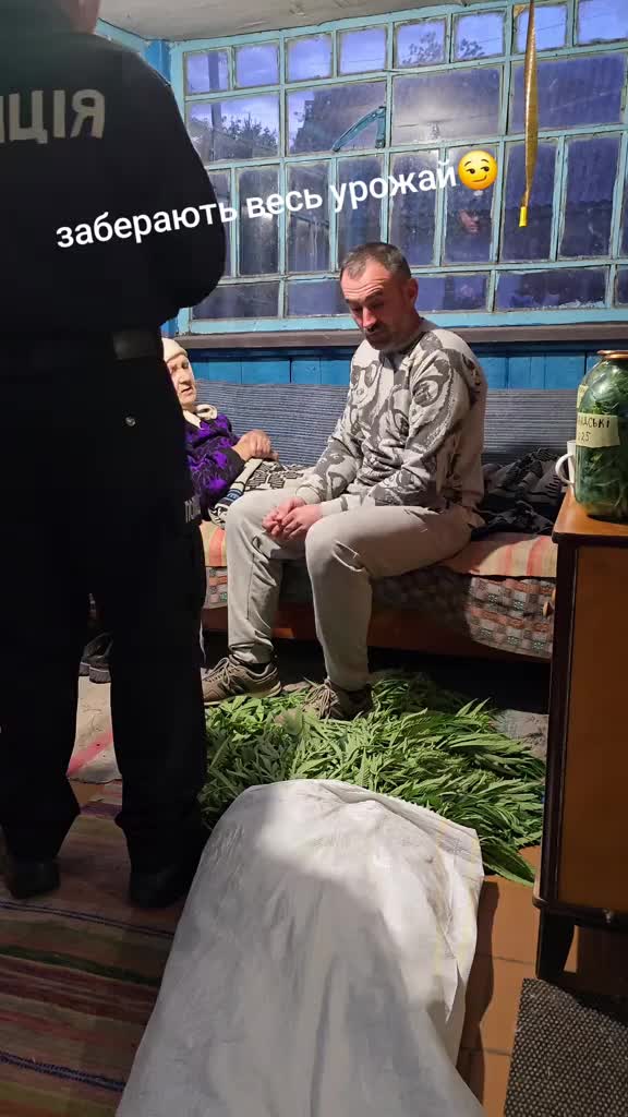 В Киевской области полицейские изъяли коноплю у фермера, который утверждает, что сажал помидоры
