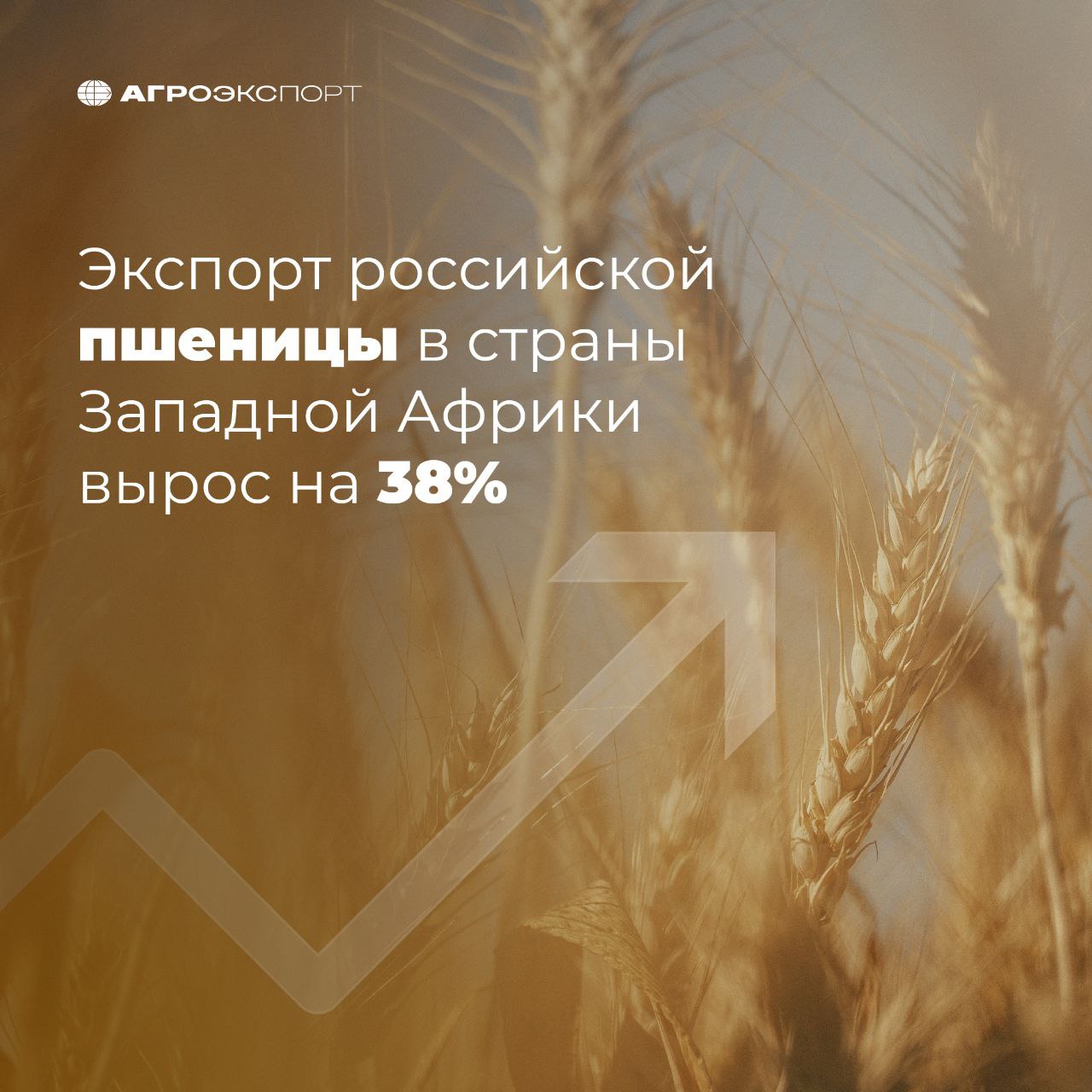 Экспорт российской пшеницы в страны Западной Африки вырос на 38% Согласно оценкам экспертов, за период январь-май 2025 года российские поставки пшеницы в страны Западной Африки превысили 580 тыс. тонн. В сравнении с аналогичным периодом прошлого года рост составил 38% в натуральном выражении. Среди стран, куда наращивается экспорт, можно выделить Нигерию — рост в 2,9 раз. Начались поставки в Того. Основными же импортерами среди стран Африки российской пшеницы в натуральном выражении за период январь-май 2025 года являются: 1 место — Египет 2 место — Судан 3 место — Ливия #агроэкспорт