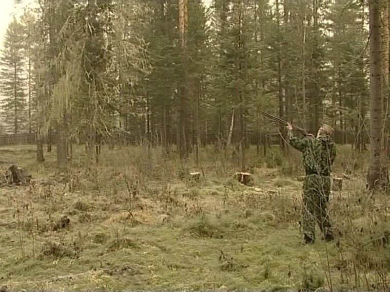 В Красноярском крае стартовал сезон охоты на волка, кабана и медведя  Также охотиться с собаками разрешено на болотно-луговую дичь. В минприроды региона выдано 2100 разрешений. Инспекторы перешли на усиленный режим работы. С 5 августа начнётся охота на боровую, полевую и степную дичь. С 16-го — на белую и тундряную куропатку, а с 30 августа – на уток, глухаря, тетерева и вальдшнепа. Кроме того, начинается приём заявлений на добычу лимитированных пушных животных: барсука, соболя и рыси. Сроки охоты — с 15 августа и 20 октября соответственно.