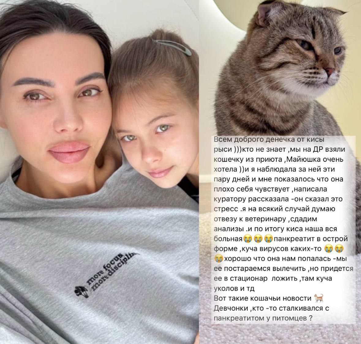 Оксана Самойлова забрала из приюта кошку для дочери, но та оказалась больна. У питомца обнаружили панкреатит и вирусы — теперь ей нужно серьёзное лечение в стационаре. Новости Шоу-Бизнеса