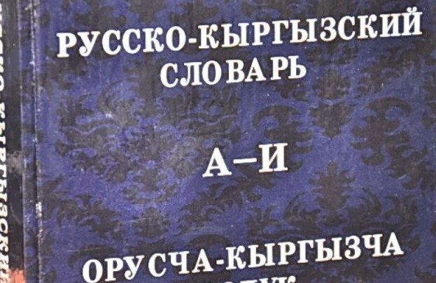 Кыргызстан не намерен менять статус русского языка  Планов по пересмотру статуса русского языка в Кыргызстане нет, в Конституции страны он закреплён как официальный. Об этом заявил замглавы кабмина Эдиль Байсалов в интервью «Sputnik Кыргызстан».  «Для участия в жизни нашей страны и нашего многонационального народа в ближайшие годы недостаточное владение госязыком не должно являться дисквалифицирующим обстоятельством», – отметил зампред кабмина в пресс-центре СМИ.    Некоторые парламентарии возмутились законопроектом по применению госязыка. Они назвали его антиконституционным, поскольку после его принятия этнические меньшинства не смогут, например, баллотироваться в законодательный орган из-за незнания русского языка.  «Это было бы неправильно и несправедливо. Это против интересов нашего народа – люди должны чувствовать себя востребованными и сопричастными», – добавил он.    Южная служба новостей