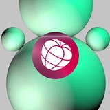 Аватар Телеграм канала: Skolkovo School of Management