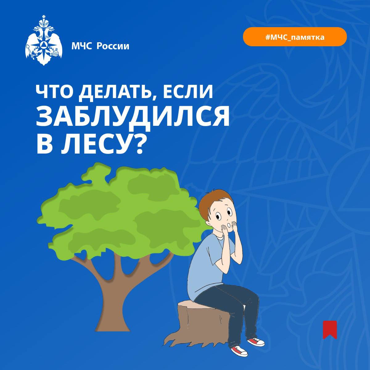 Продолжается грибной сезон и жители края, вооружившись корзинками и ножами, устремились в леса. К сожалению, зачастую, увлекшись сбором дикоросов, люди пренебрегают простыми правилами безопасного поведения в лесу. Потеряв ориентир, они не могут самостоятельно выйти из лесного массива.  Для сохранения собственной жизни необходимо помнить об опасности походов в лес.