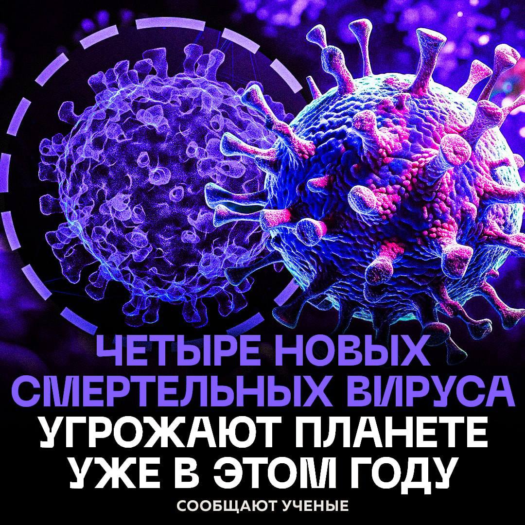 НОВАЯ ЭПИДЕМИЯ будет в 2026 году из за ЧЕТЫРЕХ СМЕРТЕЛЬНЫХ вирусов заявили ученые Среди них Обезьянья оспа после вспышки в 2022 году вирус укоренился во всем мире продолжает циркулировать и формировать новые разновидности Краснуха заболевание которое считалось практически побежденным может вернуться из за значительного снижения охвата вакцинацией MMR что уже спровоцировало увеличение случаев заражения корью Птичий грипп особенно опасный штамм который активно мутирует с 2020 года приобретая способность заражать млекопитающих Ученые опасаются что он может адаптироваться для более эффективной передачи между людьми Вирус Оропуче распространяется мокрецами и его область распространения расширяется от Южной Америки до Европы Все они АКТИВНО мутируют и распространяются по России и всей планете Вероятность развития болезни ВЫСОКАЯ Её уже прозвали Болезнь X При этом отсутствие лечения и вакцины может привести к новым ЛОКДАУНАМ