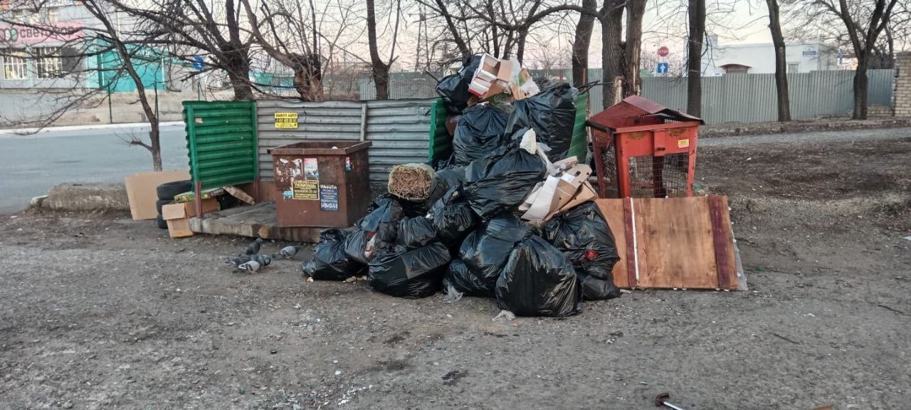 Местные жители  выражают беспокойство по поводу неустойчивой ситуации с вывозом мусора рядом с домом №83/2 на улице 1-й Рабочей: отходы, словно забытые призраки, регулярно остаются на своих местах, вызывая смятение и негодование.   На этом месте, где должны царить порядок и чистота, обитают не только бездомные собаки, но и люди без определённого места жительства, которые периодически растаскивают мусорные пакеты, оставляя за собой лишь следы беспорядка.