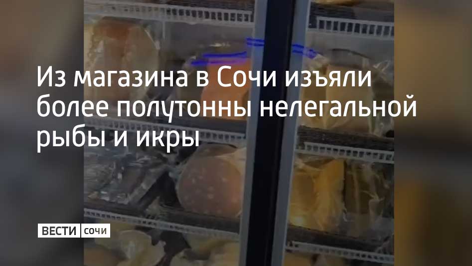 Полицейские проверили магазины в Центральном районе Сочи. В одном из них обнаружили более 500 килограммов рыбной продукции без необходимых документов, в том числе черную и красную икру. Нелегальный товар изъяли и направили на экспертизу, сообщили в УВД по г. Сочи.