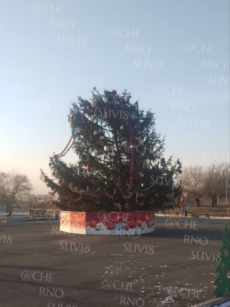 Подправят и будет красиво Напомним что в селе Галёнки Октябрьского округа местные жители не оценили главную ёлку которая по их мнению больше напоминает квадрат чем привычный треугольник Новогодний символ тут же окрестили ёлкой полторашкой и бодипозитивным деревом а в соцсетях она моментально стала звездой мемов Глава округа Александр Камлёнок поспешил объяснить ситуацию Оказалось что дерево селу подарил местный житель но у ёлки как выразился чиновник не отросла верхушка или её давно спилили По его словам выбор был непростым комиссия рассматривала 10 12 вариантов и как ни странно все остальные были ещё страшнее Александр Камлёнок заверил что работа над ёлкой ещё не завершена Планируется добавить гирлянды которые будут спускаться сверху вниз а также возможно подрезать верхние ветки чтобы придать дереву более классическую форму К 25 декабря всё будет красиво и достойно пообещал Камлёнок добавив что нынешний ажиотаж вокруг ёлки это не что иное как желание хайпануть Подписывайтесь на dvved