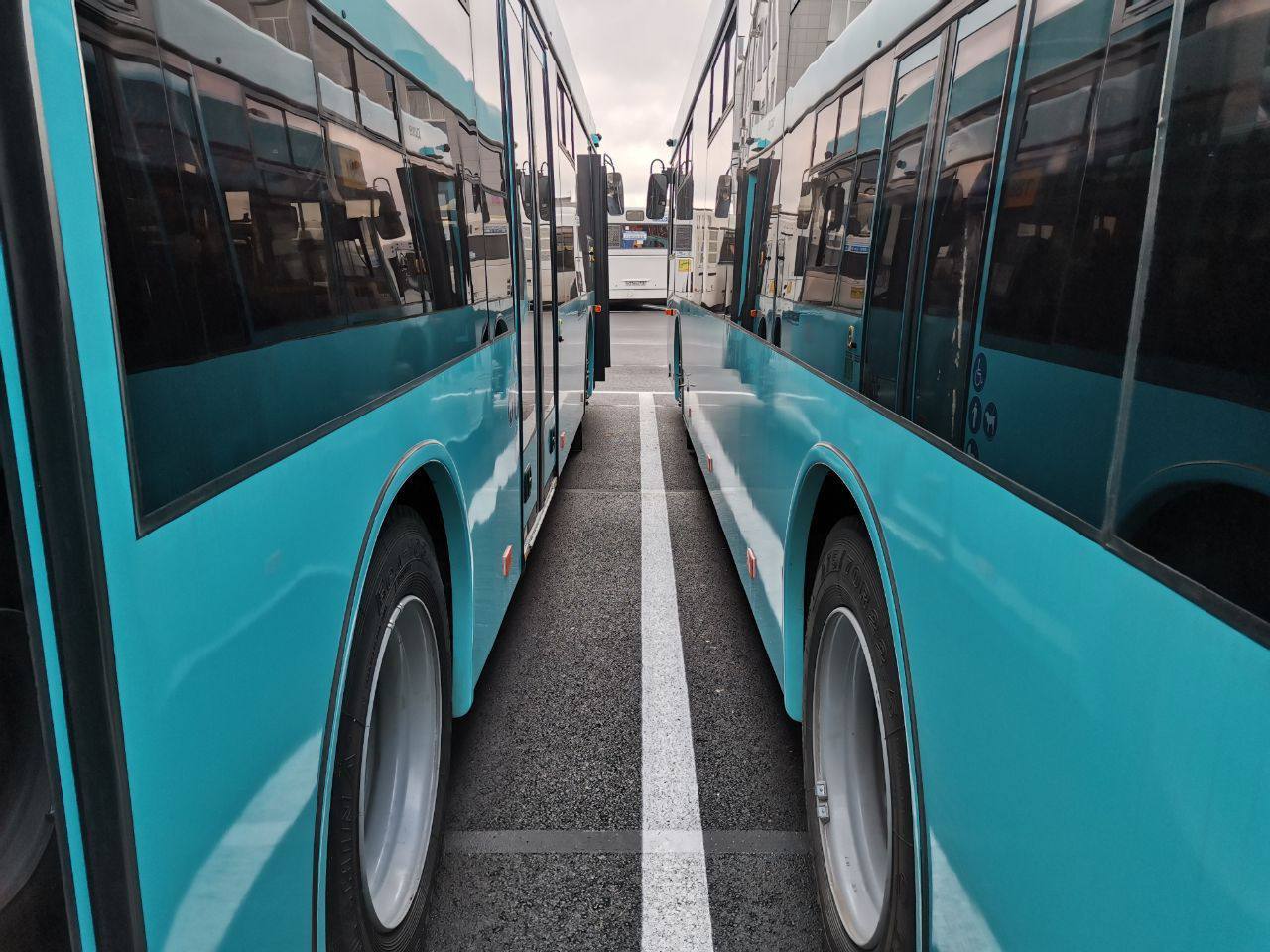 293 новых дизельных автобуса большого класса пополнят городской автобусный парк Петербурга   ГУП «Пассажиравтотранс» готовится к масштабному обновлению парка подвижного состава - предприятие объявило аукцион на закупку 293  автобусов.    Общая стоимость закупки: 5,7 млрд рублей  с использованием лизинга, удорожание – не более 5,3% . Лизинг позволяет масштабно обновить транспорт, не изымая крупные средства единовременно.  Сроки реализации: партии будут поступать до конца 2025 года.  Обновление парка позволит снизить средний возраст автобусов до 3,6 лет, повысив комфорт и надежность перевозок.    Новые автобусы выйдут на маршруты в разных районах города – точный перечень будет утвержден после поставки.