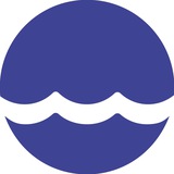 Аватар Телеграм канала: АСРФ