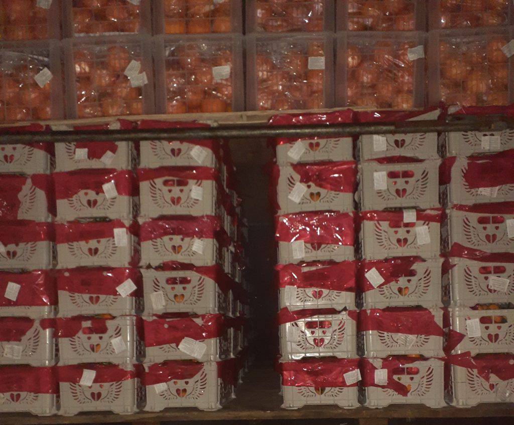 37 тонн цитрусовых не пустили в Челябинскую область из за путаницы в документах В Челябинскую область запретили ввозить 37 тонн мандаринов и апельсинов У проверяющих возникли вопросы к документации данные в ней не совпадали с маркировкой В результате фуры развернули в Казахстан а водителей привлекли к ответственности Машины остановили в пункте пропуска Бугристое сотрудники Россельхознадзора совместно с пограничниками и таможенниками Один из грузовиков хотел пересечь границу 29 декабря с 17 7 тонны мандаринов и 1 3 тонны апельсинов из Алматы Однако в сопроводительных документах было указано что продукцию везут в Екатеринбург а на этикетке значилась Самарская область В результате машину не пропустили в страну 30 декабря по аналогичной причине запретили ввоз еще 18 тонн апельсинов За нарушение порядка ввоза водители привлечены к административной ответственности по статье 10 2 КоАП РФ Машины с цитрусовыми возвращены на территорию сопредельного государства уточнили в Россельхознадзоре