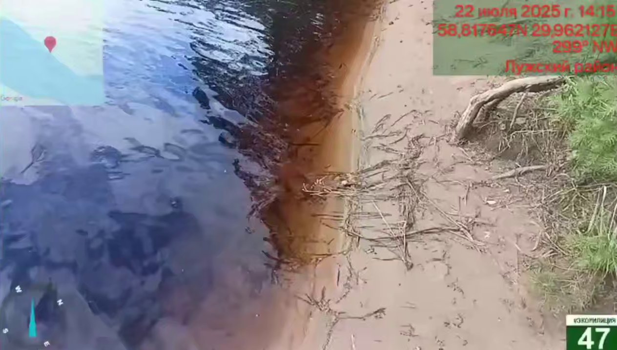 Госэконадзор выясняет причины гибели рыбы в водоемах Ленобласти   Госэконадзор Ленобласти проверяет сообщения граждан о случаях гибели рыбы в водоемах региона. В частности, сотрудники экомилиции выехали в Лужский район для проверки обстановки на реке Луга.  В ведомстве сообщили, что не обнаружили признаков антропогенного или техногенного воздействия, а также следов химических сбросов в воду. По мнению экологов, причиной гибели нескольких особей рыбы могла стать аномально жаркая погода. Из-за высокой температуры в воде снизился уровень кислорода, что негативно сказалось на состоянии обитателей водоема.