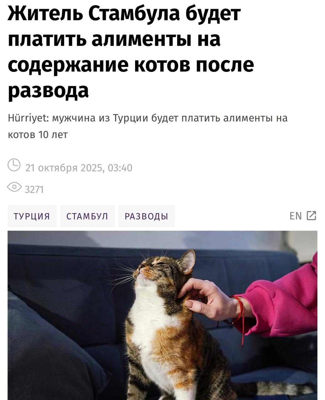 Турок будет 10 лет платить алименты для КОТОВ Жителя Стамбула обязали финансово содержать двух питомцев после развода с женой По решению суда ему нужно будет перечислять бывшей 10 тысяч лир 19 5 тысяч рублей каждые три месяца Пытались ли они поделить котов между собой не сообщается trends