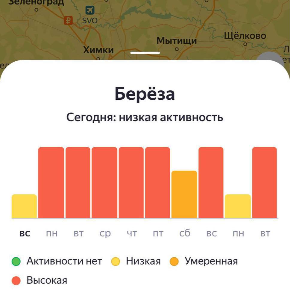 С завтрашнего дня в Москве ожидается высокий уровень пыльцы Пыльцевой фон останется повышенным как минимум до следующей субботы. Особенно стоит быть внимательными аллергикам — лучше заранее подготовиться и ограничить время на улице.