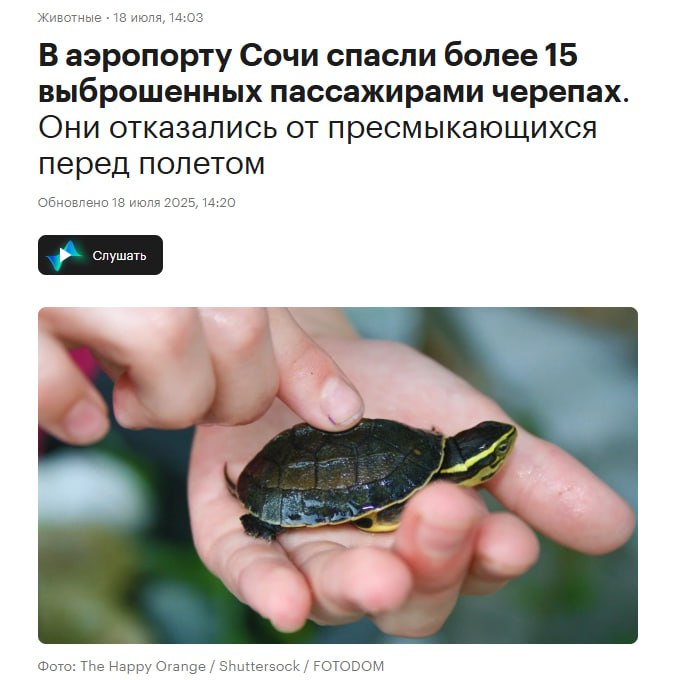Россияне стали массово выбрасывать черепах в аэропорту Сочи  «К сожалению, участились случаи, когда пассажиры, узнав, что нельзя провезти черепаху в самолете, оставляют их прямо в аэропорту, а что еще хуже — выбрасывают их как мусор. Мы спасли уже более 15 черепашек и обращаемся ко всем пассажирам с просьбой! Если вы летите самолетом — не покупайте этих очаровательных созданий в поездке, черепахи не принимаются к перевозке на борт воздушного судна», — рассказали в пресс-службе.  Перевозка грызунов, пресмыкающихся, членистоногих у большинства авиакомпаний запрещена.  Переезд
