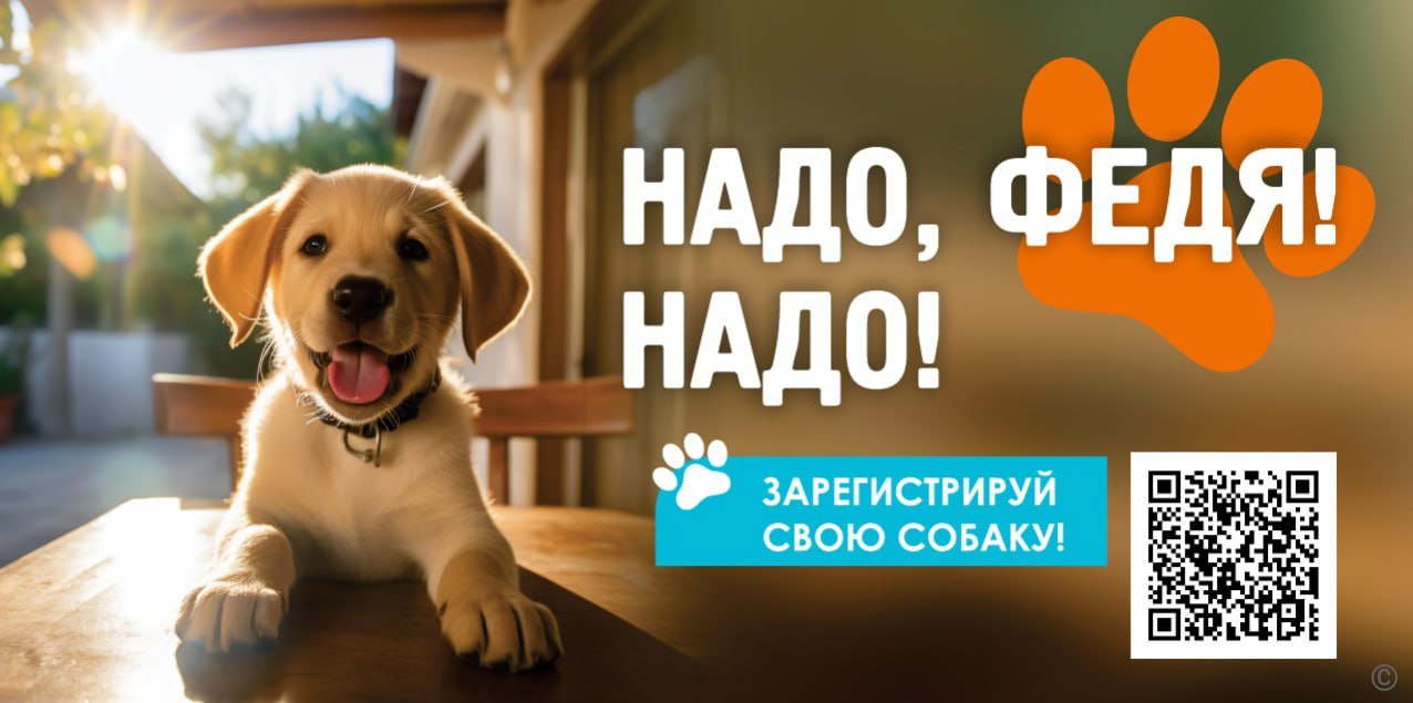 Жители Барнаула зарегистрировали более 9,5 тысяч домашних собак Барнаульцы продолжают регистрировать и чипировать своих домашних питомцев. Эти процедуры стали обязательными с января текущего года согласно Закону №62-ЗС «О регулировании отдельных правоотношений в области обращения с животными на территории Алтайского края». Всего в настоящее время в Барнауле зарегистрировано более 9,5 тысяч собак. В том числе жители чипировали животных в мобильном пункте выездной регистрации, работавшем с 14 по 30 апреля. В этот период домашних животных могли зарегистрировать жители Ленинского, Индустриального и Центрального районов. Пройти одновременно процедуры чипирования и регистрации барнаульцы по-прежнему могут в ветеринарных клиниках КГБУ «Управление ветеринарии по г.Барнаулу» по адресам ул. Шевченко, 158 ул. Короленко, 109, ул. Совхозная, 28. Записаться для получения услуги можно онлайн, на сайте управления ветеринарии Алтайского края. В настоящее время стоимость чипирования составляет порядка 600 рублей. В нее входит осмотр, маркирование, консультация по уходу и содержанию, а также стоимость самого чипа. Регистрация домашних собак проходит бесплатно. Напомним, за отсутствие регистрации с 1 июля в Алтайском крае будет предусмотрена административная ответственность.