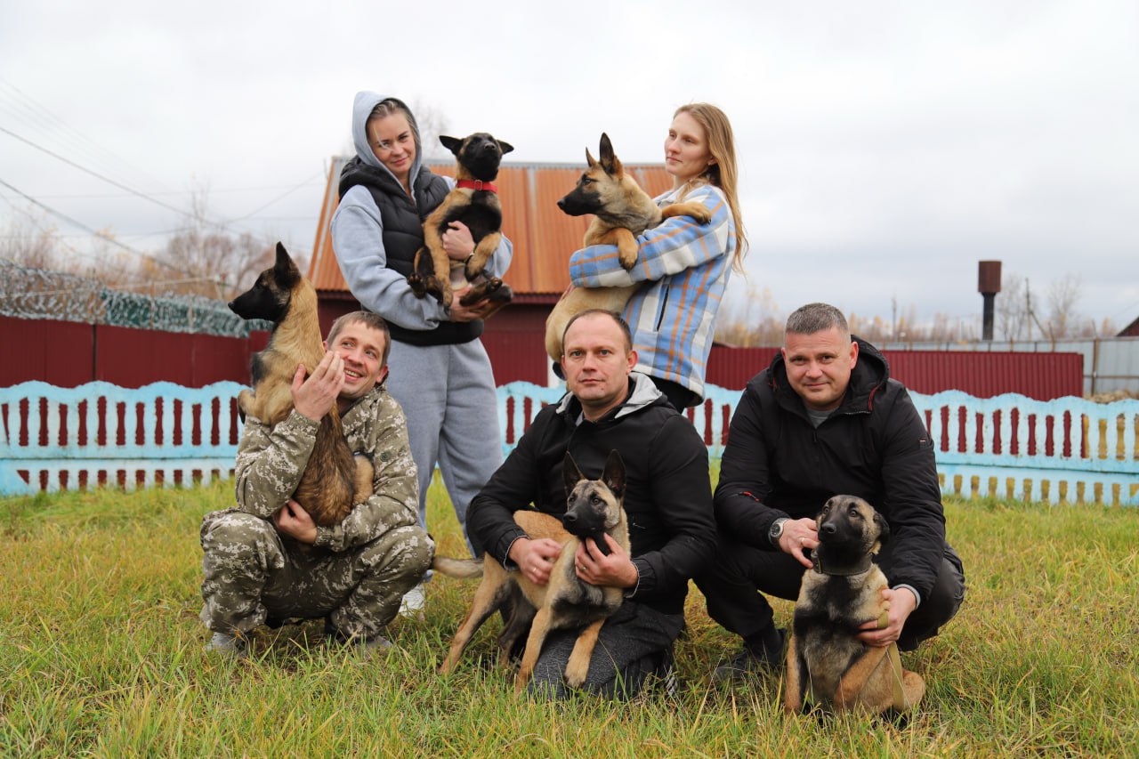 УФСИН России по Республике Мордовия передали 10 щенков малинуа в территориальные органы ФСИН России УФСИН России по Республике Мордовия с радостью сообщает о передаче 10 щенков породы бельгийская овчарка малинуа в территориальные органы ФСИН России Щенки были выведены в племенном питомнике служебного собаководства исправительной колонии 4 и готовы к новым вызовам Эти энергичные и умные малыши вскоре начнут выполнять свои служебные обязанности в исправительной колонии 6 а также будут направлены в территориальные органы ФСИН России по Владимирской Пензенской областям и Республике Калмыкия Бельгийские овчарки породы малинуа известны своей преданностью высоким интеллектом и отличной обучаемостью Эти качества делают их идеальными помощниками в правоохранительных органах где они будут способствовать обеспечению безопасности и порядка Молодые и перспективные собаки станут надежными спутниками для своих будущих кинологов и внесут значительный вклад в работу учреждений ФСИН России Пресс служба УФСИН России по Республике Мордовия