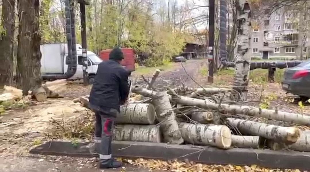 Прокуратура через суд обязала власти спилить аварийные деревья на улицах Дзержинского и Ленинградской в Кирове  Их ветви располагаются вблизи линий электропередачи. Падение ветвей может привести к отключению электричества или травмам, отметили горожане.  В первой инстанции иск надзорного ведомства суд признал законным и обоснованным. Администрация пыталась обжаловать решение, но жалобу отклонили.