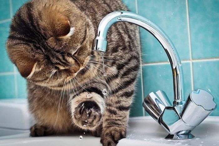 Обновленный график отключения горячей воды   Сократили сроки отключения с учётом обращений от жителей.   Найти график можно на главной странице официального сайта администрации Мытищ в разделе ЖКХ и благоустройство  Для удобства запустили телеграм-бот  . Здесь можно узнать подробности по конкретным адресам.    Телефон Информационно-диспетчерской службы ЖКХ  8  495  584-0000