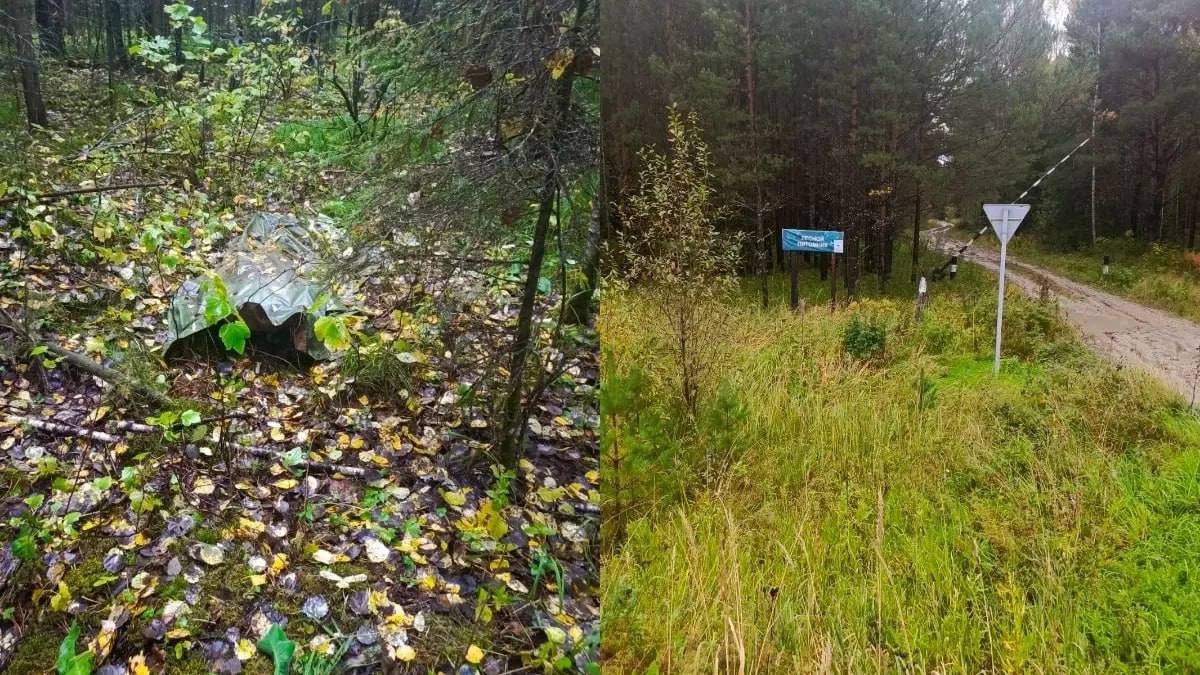 Стали известны подробности убийства мужчины, которого нашли с пакетом на голове.  Как сообщили в СК, сообщение о пропаже 43-летнего мужчины поступило 4 сентября. Через 5 дней, 9 сентября, его тело с пакетом на голове нашли в лесу в 200 метрах от дороги Галанино-Пировское. Под подозрения пал его 63-летний приятель.  По предварительной версии, 3 сентября мужчины выпивали в лесу на пасеке. В какой-то момент хозяин пасеки уснул в доме. Проснувшись, он заметил мужчину рядом с ульями. В сумерках, будучи пьяным, мужчина не узнал друга и два раза ударил его поленом по голове.  На утро мужчина попытался скрыть следы: он сжег полено, надел на голову погибшего пакет и завернул тело в тент. После чего вывез погибшего в лес. Вернувшись в село, мужчина сообщил, что друг безвестно исчез на пасеке.