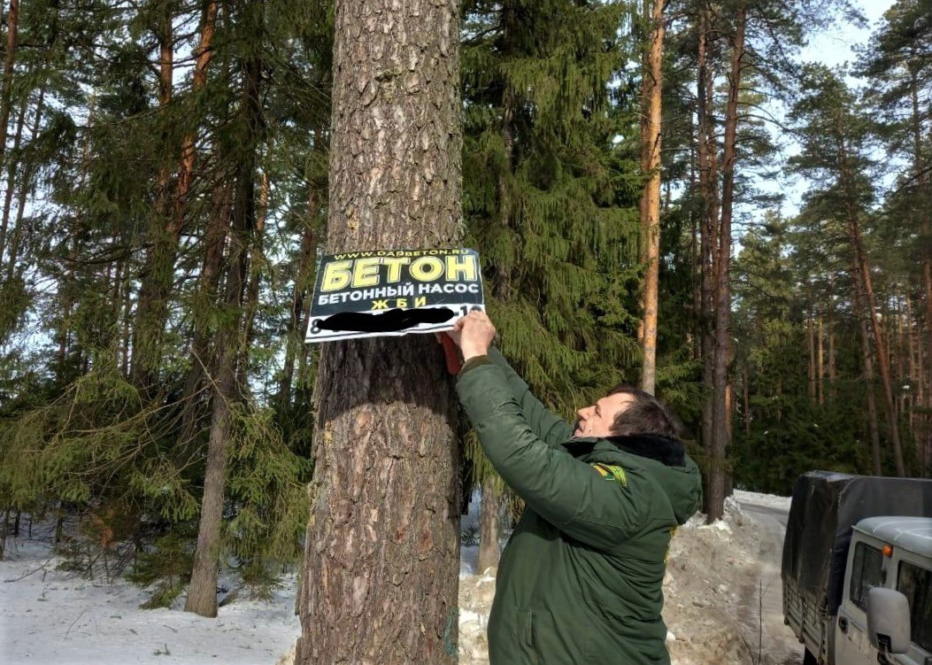 Более 1 200 незаконных рекламных конструкций было демонтировано в лесах Подмосковья с начала года Незаконно размещенную рекламу на деревьях лесничие обнаруживают во время патрулирования земель лесного фонда, обращая особое внимание лесным земельным участкам, граничащим с садовыми товариществами и населенными пунктами. Именно здесь чаще всего недобросовестные рекламодатели крепят свои таблички с предложениями различных услуг или товаров, которые могут заинтересовать местных жителей. «С начала 2025 года в подмосковных лесах было демонтировано 1 227 различных рекламных конструкций - баннеров, плакатов и растяжек. Практически все они были закреплены на живых деревьях – прибиты гвоздями, прикручены саморезами или проволокой», - рассказал врио председателя Комитета лесного хозяйства Московской области Алексей Ларькин. Крепление на деревьях объявлений таким образом способствует тому, что в древесину проникают споры грибов и вредные насекомые. Все это разрушает древесину, мешает деревьям развиваться нормально, приводит к их повреждению деревьев, делает уязвимыми для насекомых-вредителей и болезней леса. Лидеры по борьбе с рекламой в лесу: Орехово-Зуевский филиал ГАУ МО «Мособллес» - сотрудники филиала убрали с территории лесного фонда 371 рекламную табличку, Виноградовский филиал – 164 рекламные таблички, Ступинский филиал – 92 таблички, Шатурский филиал – 79 табличек, Клинский филиал – 75 табличек. ‼ За незаконное размещение рекламы на деревьях предусмотрена административная ответственность по статье 8.28 КоАП РФ. Суммы штрафов составляют: для граждан - до четырех тысяч рублей, для должностных лиц - до 40 000 рублей, для юридических лиц - до 300 000 рублей. Фотографии Виноградовского, Дмитровского, Егорьевского, Клинского, Московского-учебно-опытного, Наро-Фоминского и Орехово-Зуевского лесничеств.
