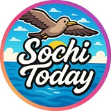 Аватар Телеграм канала: Sochi Today 🌀