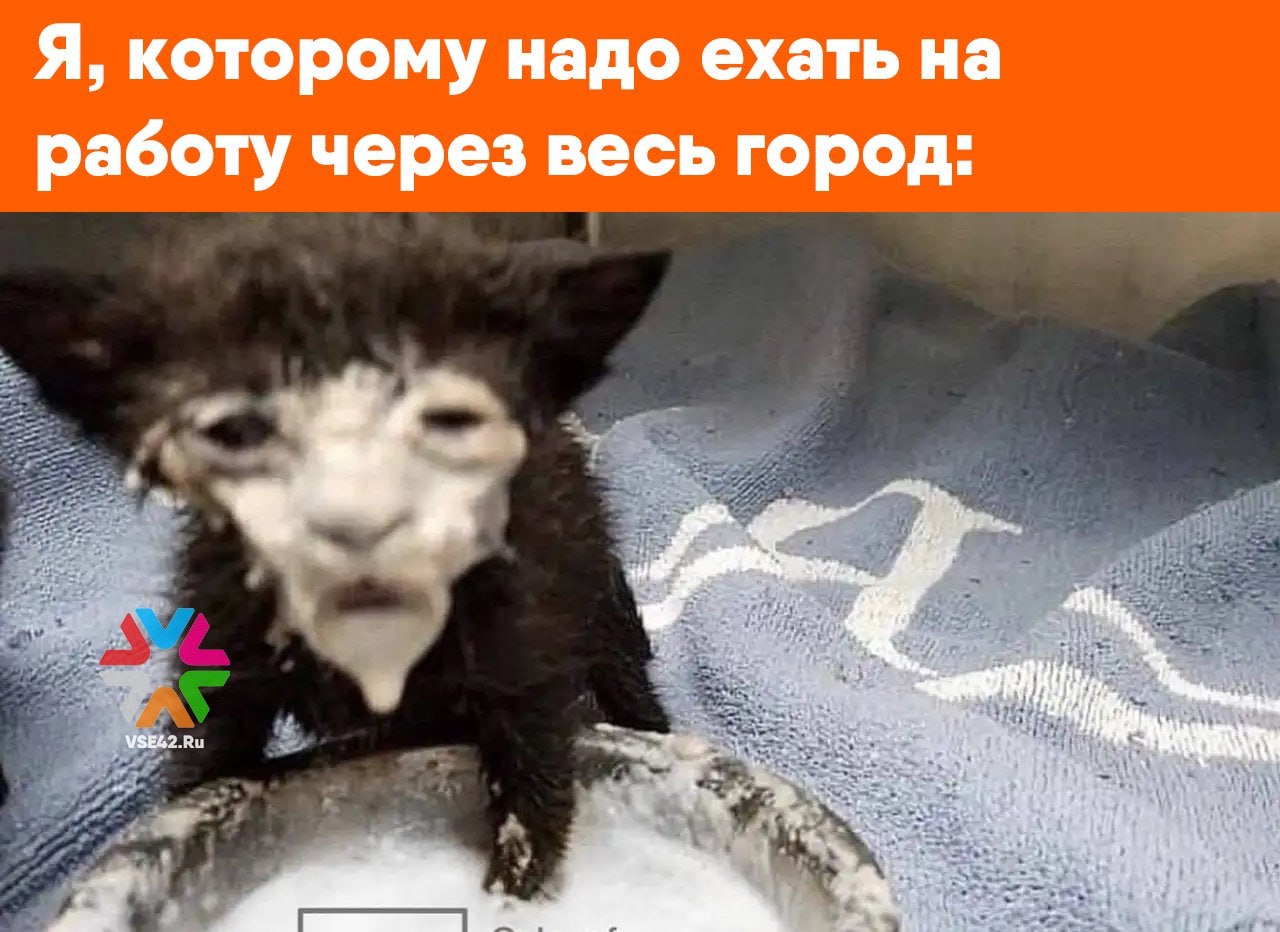 Вильфанд ужасные морозы до 46 C идут в Кузбасс Роман Вильфанд сообщил о похолодании на 5 10 градусов ниже нормы в ряде субъектов РФ Ожидаемые температуры Кузбасс Томская Иркутская области Алтай Тыва 35 46 C Север Красноярского края 46 51 C Якутия 48 54 C Бурятия на 8 10 градусов ниже климатической нормы Экстремально низкие температуры затронут значительную часть Сибири и Дальнего Востока в ближайшие дни     Подписаться на VSE42 Ru   Подписаться на нас в MAX