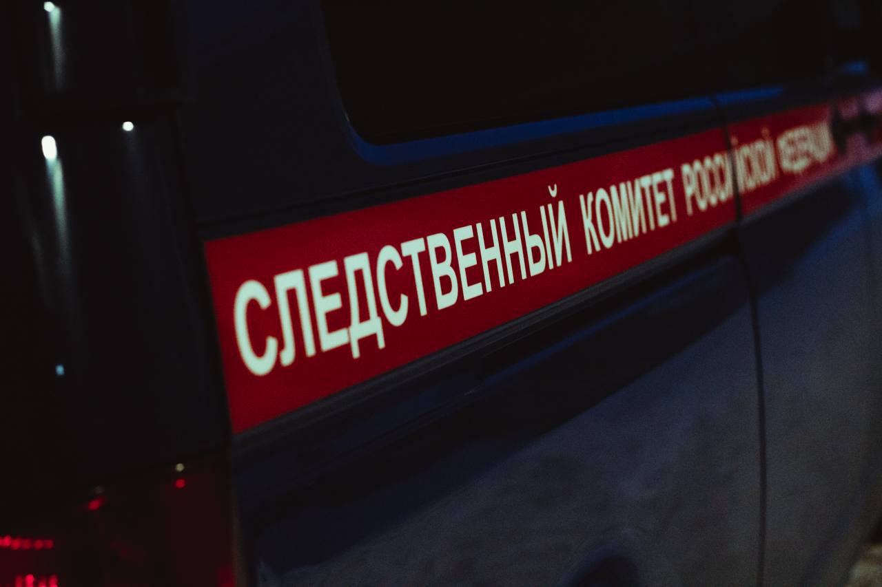 В Кирово-Чепецком районе нашли тело пропавшего 10-летнего ребёнка с ножевыми ранениями. По подозрению в преступлении задержан 14-летний подросток. 21 июня в полицию Кирово-Чепецкого района обратилась женщина с сообщением о пропаже своего 10-летнего сына. На поиски ребёнка выехала следственно-оперативная группа. Служебная собака обнаружила тело мальчика с ножевыми ранениями в лесу возле станции Просница. По факту убийства возбуждено уголовное дело. Подозреваемым стал 14-летний местный подросток, который не смог объяснить мотивы своего поступка. Сейчас следователи выясняют все обстоятельства происшествия. Расследование продолжается. Фото: sledcom.ru