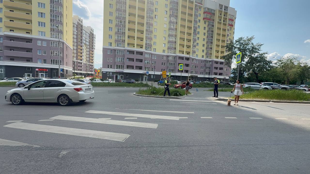 8-летняя девочка на самокате попала под колеса иномарки на пешеходном переходе Авария произошла на улице Заводской в Екатеринбурге. По предварительным данным, водитель Ssang Yong со стажем вождения 11 месяцев не пропустила ребенка на пешеходном переходе. Девочка, не спешившись с самоката, врезалась в дверь машины. С травмой головы ребенка увезли в больницу. Водитель рассказала, что не увидела пешехода. Почувствовав удар в дверь, она резко затормозила, но аварии избежать не удалось. ГИБДД