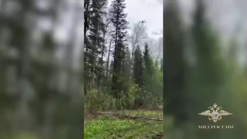 Девочки, заблудившиеся в лесу Кемеровской области, найдены с помощью беспилотника