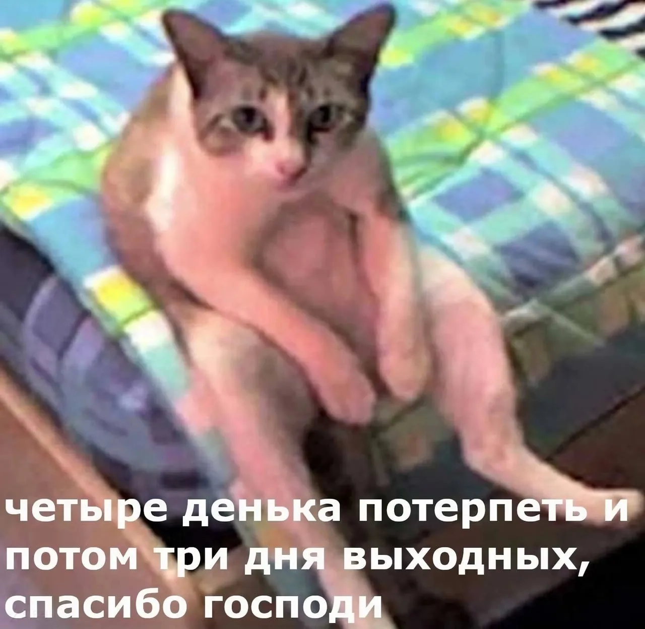 Пятидневка признана неэффективной сотрудники справляются с задачами за 33 часа остальное прокрастинация Крупнейшее международное исследование о котором пишет Fortune показало привычная пятидневная рабочая неделя теряет смысл Сотрудники способны выполнить весь объём задач в среднем за 33 часа вместо 38 Остальное время особенно к концу недели уходит на прокрастинацию ненужные встречи и имитацию бурной деятельности В эксперименте в Великобритании участвовали более 3000 человек из 60 компаний Их перевели на четырёхдневный график с сохранением полной зарплаты Результаты впечатлили производительность не упала а выручка организаций выросла в среднем на 15 Больничные сократились на 65 риск увольнения на 57 Уровень выгорания снизился а удовлетворённость жизнью повысилась Ни одна из компаний не захотела возвращаться к пятидневке Однако четырёхдневная неделя подходит не всем возможны сложности с расчётом зарплаты и графиком для сотрудников работающих неполный день А тем временем предприниматель Олег Дерипаска предложил перейти на шестидневную рабочую неделю с графиком с 08 00 до 20 00 включая субботу якобы для преодоления кризиса в стране А вы бы перешли на четырёхдневку  Обратная связь  Подписаться  Подписаться в MАХ
