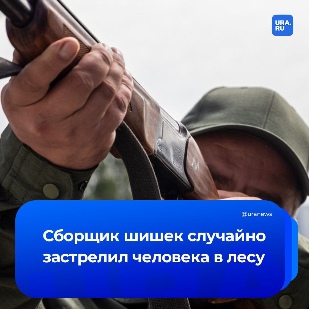 Медведь не единственная опасность в лесу В ХМАО шишкарь случайно застрелил человека перепутав его с диким зверем Мужчина направился в чащу за кедровыми шишками и прихватил с собой ружье и собаку Вечером пес неожиданно залаял Хозяин подумал что в темноте может быть медведь и выстрелил от испуга Но на расстоянии около 120 метров находился не дикий зверь а другой сборщик шишек 35 летний местный житель Он получил огнестрельное ранение прямо в грудь и скончался на месте Следователи проводят проверку по уголовному делу сообщили в СК по региону Подписаться на URA RU мы в MAX