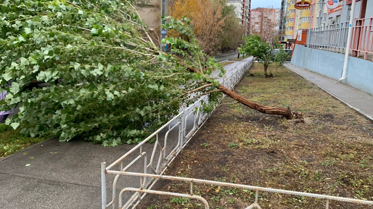 2 мая ожидается усиление ветра с порывами до 18 метров в секунду. Сотрудники МЧС рекомендуют не укрывать и не парковать автотранспорт под деревьями и шаткими конструкциями, а также проверять тягу в дымовых и вентиляционных каналах при использовании газа. : ГТРК Самара