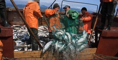 На Камчатке на выборах в артели «Колхоз Красный труженик» установят видеокамеры На выборах органов управления в Рыболовецкой артели «Колхоз Красный труженик» установят камеры видеонаблюдения. Мероприятия пройдут 24-25 сентября в ДК «Маяк» села Запорожье. Нажмите для подробностей -