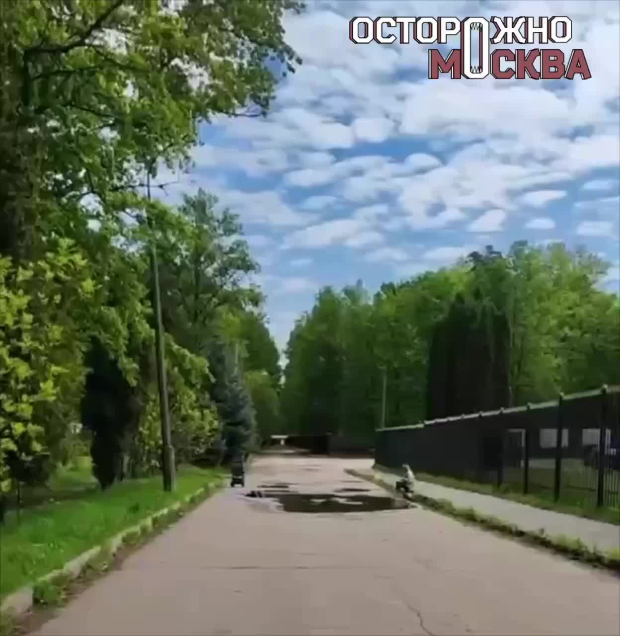 В Мытищах мать наблюдала за ребенком, купающимся в луже