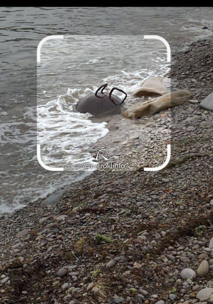 Во Владивостоке на Патрокле нашли предмет, похожий на морскую мину На побережье бухты Патрокл прохожие обнаружили подозрительный металлический объект, внешне напоминающий морскую мину. По словам очевидцев, находка лежит на берегу, недалеко от воды. На место уже прибыли сотрудники полиции. Территория оцеплена, ведётся проверка. Официальных комментариев пока не поступало, но жители района просят не приближаться к опасной зоне. Источник: / Реклама БЕСПЛАТНЫЙ КОФЕ