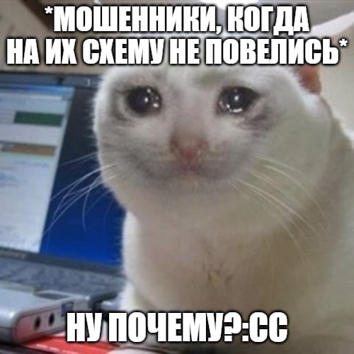 Не загружается фото: россиян «разводят» на сайтах объявлений Аферисты нацелились на тех, кто продает свои вещи на популярных платформах. Они прикидываются покупателями и упрашивают продавца отправить фото товара в мессенджере – якобы на сайте изображения не загружаются. Таким образом злоумышленники переносят общение на сторонние площадки, обходя системы защиты. После обсуждения сделки «покупатель» говорит, что якобы уже оплатил товар на платформе, а продавцу нужно подтвердить получение средств. После этого на почту или в мессенджер жертвы приходит сообщение, имитирующее стиль платформы. Правда, там указана фальшивая ссылка. Как только человек переходит по ней, мошенники получают доступ к данным пользователя. Подпишитесь на «Абзац» Добавьте «Абзац» в ленту «Дзена»