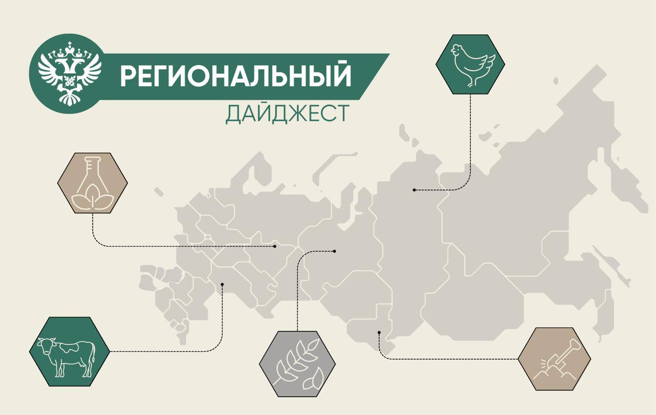 В нашей постоянной рубрике рассказываем о деятельности Россельхознадзора в регионах Ученые ВНИИЗЖ разработали первый в России нацстандарт по микробиологическому анализу кормов ГОСТ утвержден Росстандартом и вступит в силу 1 мая 2026 года Его внедрение унифицирует лабораторные исследования повысит надежность результатов и усилит госконтроль в кормопроизводстве Приостановили деятельность ООО Молочные берега в Курске Решение вынесено судом за системную фальсификацию сливочного масла За 2024 2025 годы зафиксировано 35 случаев обнаружения несоответствий в продукте данного производителя в 17 регионах Были признаны недействительными 7 деклараций Выписан штраф Проверили поставки почти 350 тысяч срезов цветов в Приморье из Китая Растительная продукция досмотрена на наличие карантинных объектов Рассчитали ущерб на 39 4 млн рублей за вред почвам в Оренбургской области ООО ПромСталь разместило на участке сельхозназначения карьер площадью 1 8 га Было установлено самовольное снятие перемещение и порча плодородного слоя почвы За нарушение земельного законодательства предприятие оштрафовано Проконтролировали отправку первых партий пшеницы из Калининградской области в Камерун и Конго Более 30 тысяч тонн зерна прошли досмотр и необходимые лабораторные исследования Нарушений не выявлено В Камерун вывезено 24 тысячи тонн пшеницы в Конго 6 3 тысячи тонн Приостановили действие декларации на небезопасные пельмени в Омске Лабораторные исследования подтвердили нарушения ветеринарно санитарных норм в продукции торговой марки Знатные продукты В пробах пельменей Омские люкс выявлены сальмонеллы и листерии в пельменях Малютки листерии Производственный ветсертификат на продукцию аннулирован в системе Меркурий Досмотрели 907 тонн овощей и фруктов из за рубежа в Свердловской области Поставки растительной продукции осуществлялись из Китая Турции и Узбекистана 240 тонн пришлось на мандарины Весь товар был допущен к ввозу Россельхознадзор в MAX
