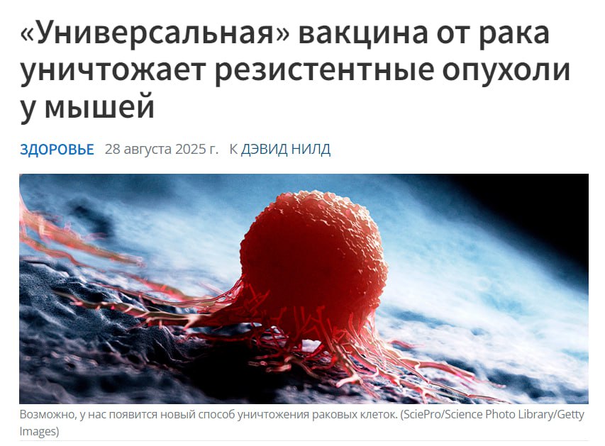 Универсальную вакцину от рака ИСПЫТАЛИ на мышах лекарство смогло включить иммунитет для борьбы с опухолями Фактически благодаря новому лекарству организм научился самостоятельно бороться с раком как с обычной простудой Теперь исследователи готовятся провести испытания на людях проверив вакцину в деле Такие новости мы одобряем