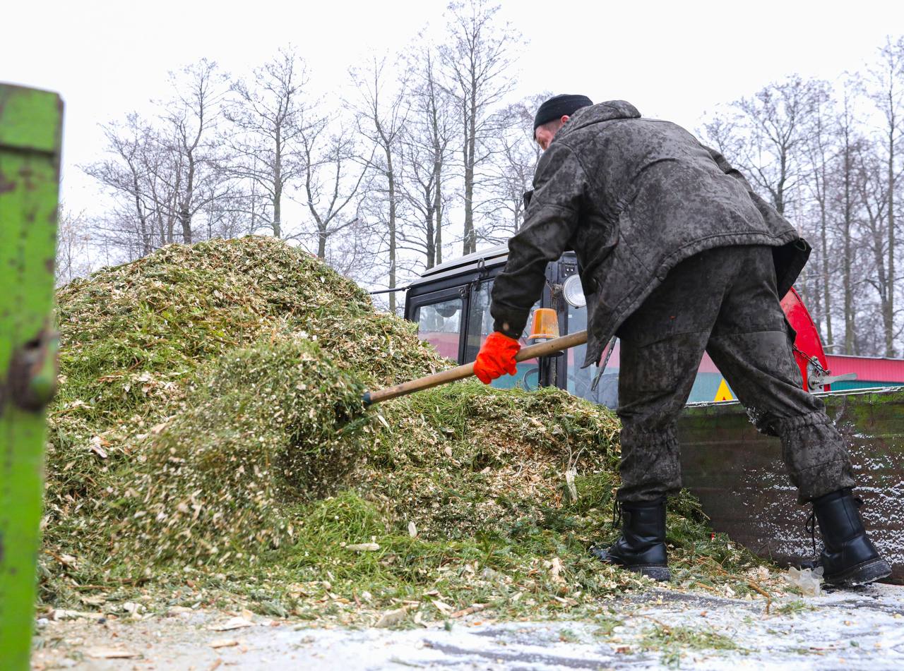 За прошлый год москвичи сдали на переработку около 38 тыс. новогодних елок   Хвойные деревья перерабатывают в щепу. Её используют для удобрения почвы, создания дорожек в парках и подстилки для животных в вольерах.  В этом году новогодние деревья можно сдать до 28 февраля. Подробнее — здесь.