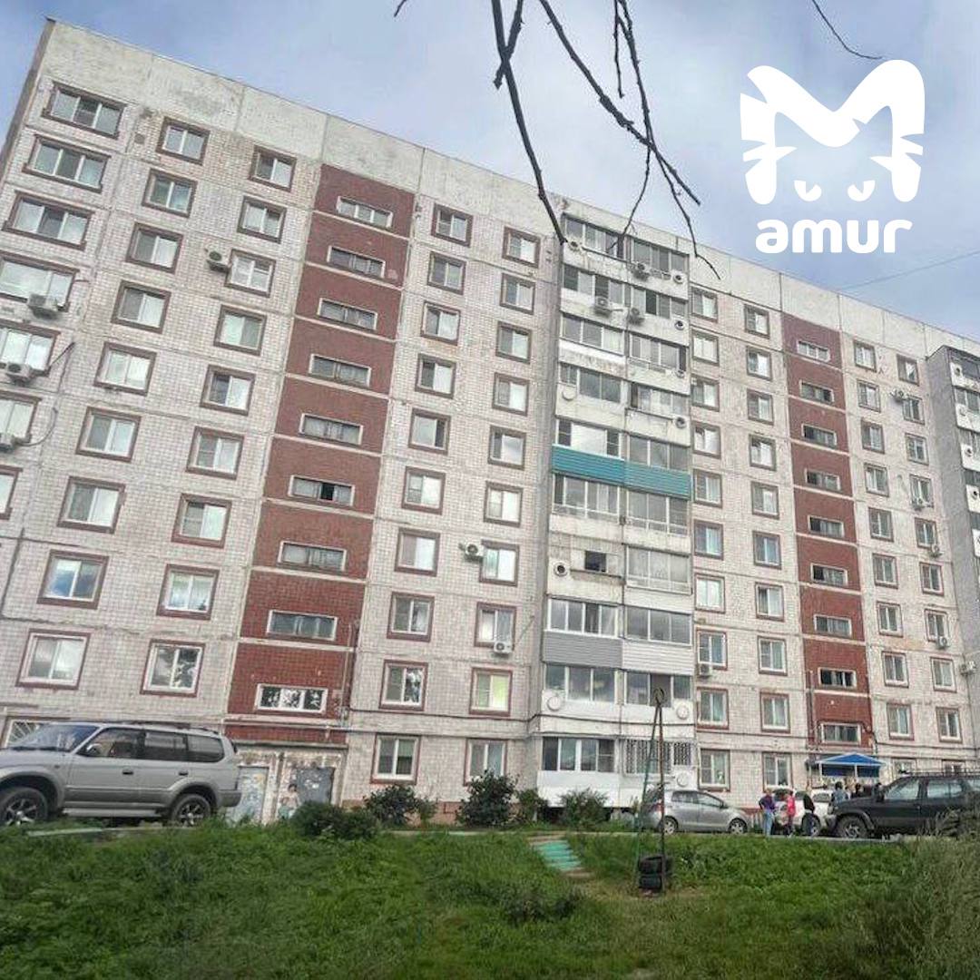 Годовалая девочка выпала из окна в Комсомольске-на Амуре и погибла. До этого точно так же разбился её старший брат.  Трагедия случилась на улице Почтовой в микрорайоне Таёжный. От полученных травм малышка скончалась на месте. Ранее эти же родители потеряли сына.   Сейчас идет проверка действий родителей и ПДН.