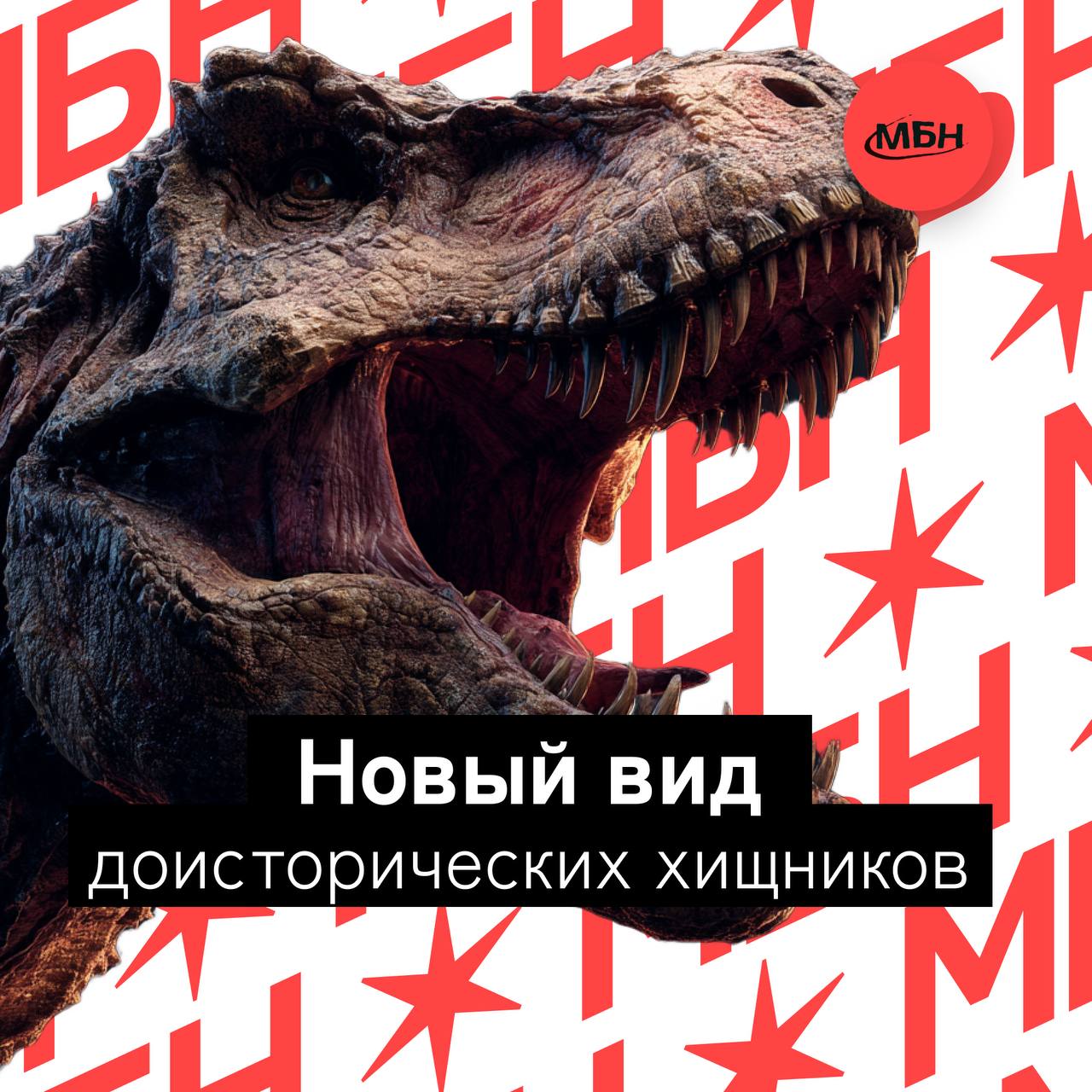 Палеонтологи подтвердили существование нанотираннозавров Американские ученые из Университета Северной Каролины поставили точку в многолетних спорах о нанотираннозаврах Повторный анализ костных структур показал что возраст одной из особей достигал 20 лет что исключает версию о молодых тираннозаврах Исследование выявило уникальные анатомические особенности черепа включая количество зубов и организацию нервных каналов что позволило официально выделить вид Nanotyrannus lethaeus Ранее останки трех особей найденные в Монтане считали молодыми T rex из за скромных размеров Уточненный анализ костных колец и сравнение с 200 другими экземплярами подтвердили самостоятельность вида mbn360