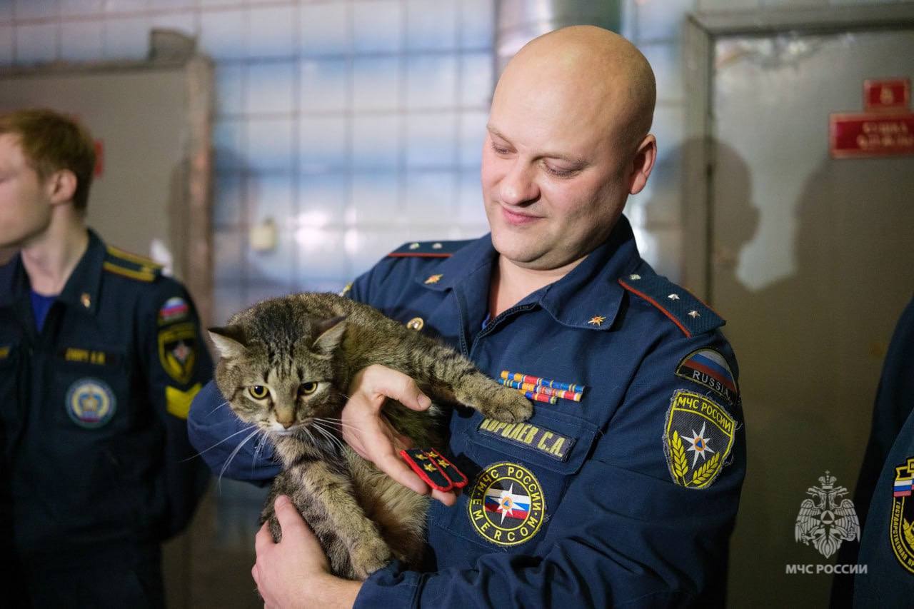 Кот-прапорщик Толика из пожарной части №89 в Москве номинирован на международную премию "Мой ласковый и нужный зверь", сообщило МЧС РФ.     / Москва