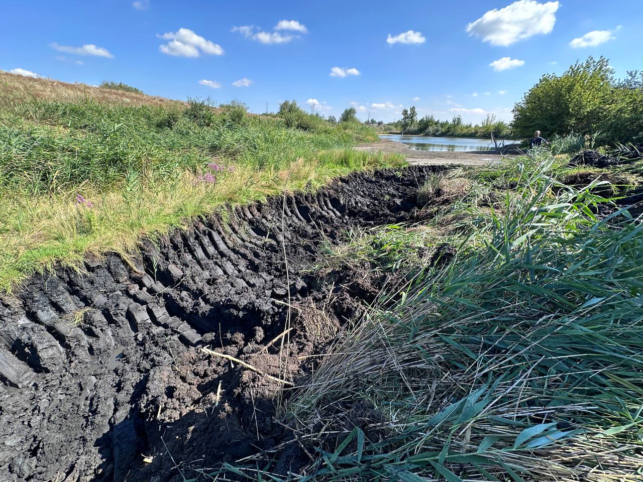 В Иловайске начались работы по очистке русел местных водоемов, питающих реку Крынка, сообщили в администрации города Подписаться Написать в редакцию