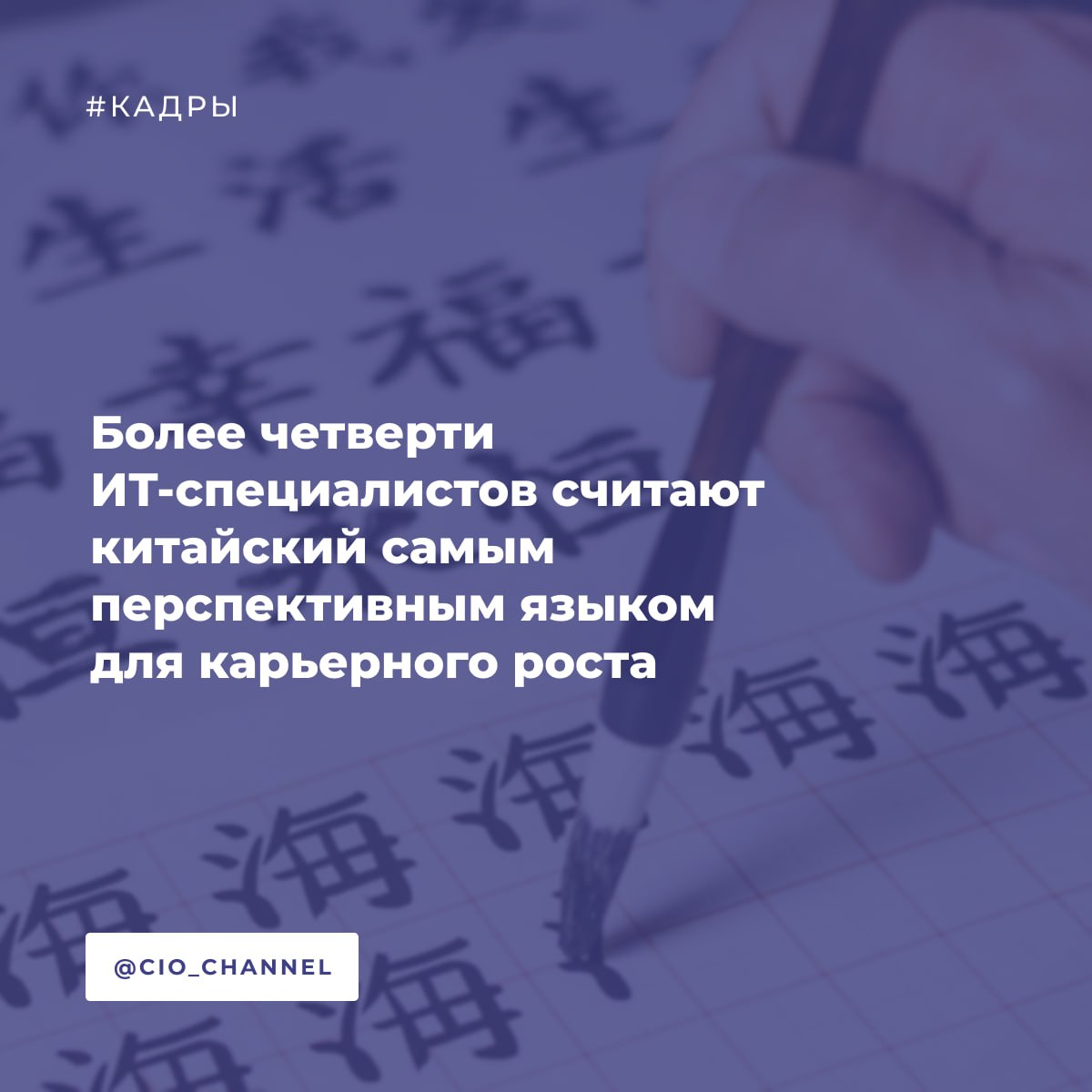 Более четверти ИТ специалистов считают китайский самым перспективным языком для карьерного роста CNews Китайский язык возглавляет список полезных для карьерного роста языков его выбрали 26 айтишников 23 убеждены что более важным является английский язык Третье место пришлось на немецкий язык 18 а 11 на французский Такие результаты получил онлайн кампус НИУ ВШЭ в ходе опроса россиян Почти половина ИТ специалистов 40 изучали или изучают сейчас английский язык 25 французский 17 немецкий а 8 испанский Есть и те кто знаком с азиатскими языками китайским 9 и японским 6 Более половины 62 респондентов из сферы информационных технологий убеждены что знание иностранного языка влияет на профессиональный рост При этом наибольшее влияние в 2025 г по их мнению оказывает китайский 26 и английский 23 языки Кроме того 50 считают что через пять лет китайский будет столь же востребован как ранее английский